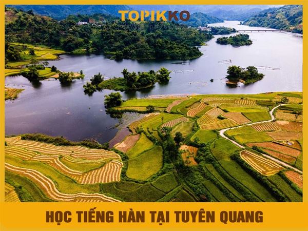 Trung tâm học tiếng Hàn tại Tuyên Quang