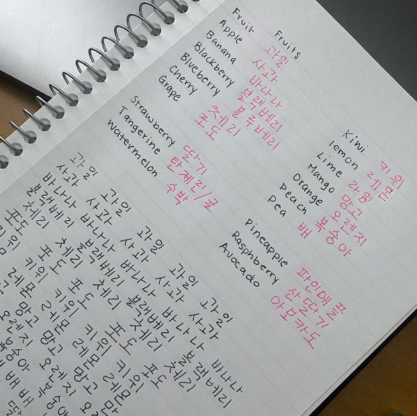 cách học tiếng hàn ở nhà hiệu quả