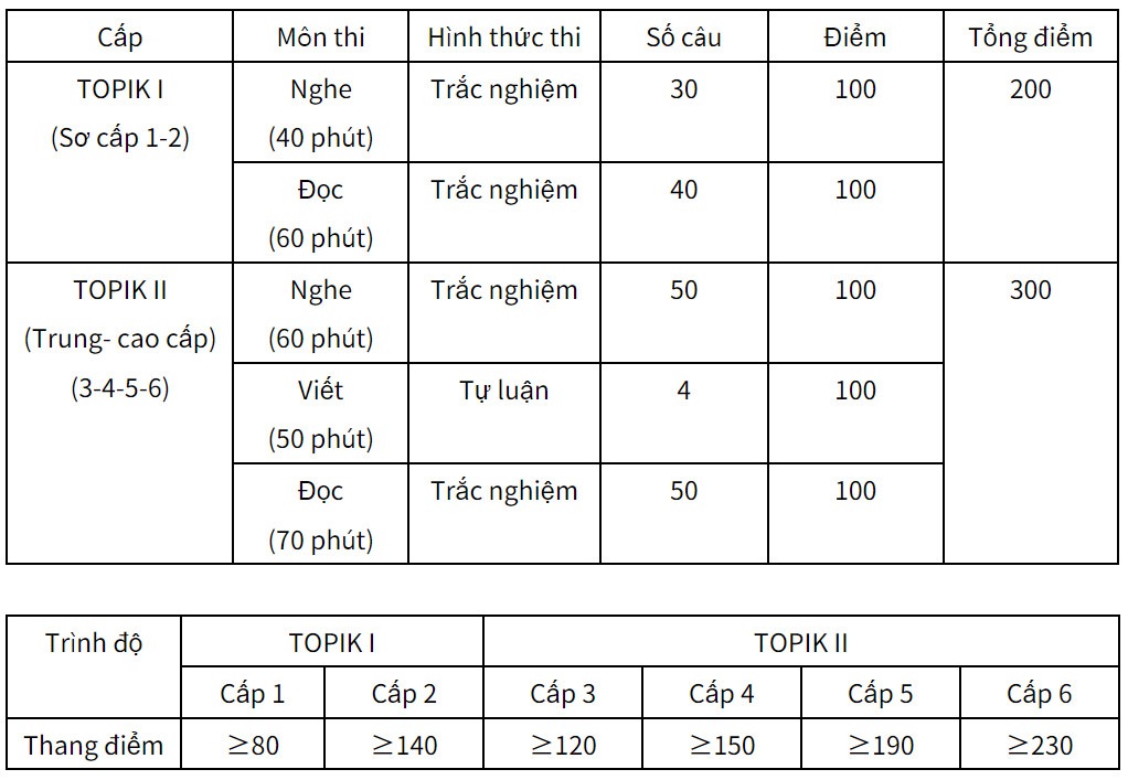 cấu trúc đề thi topik