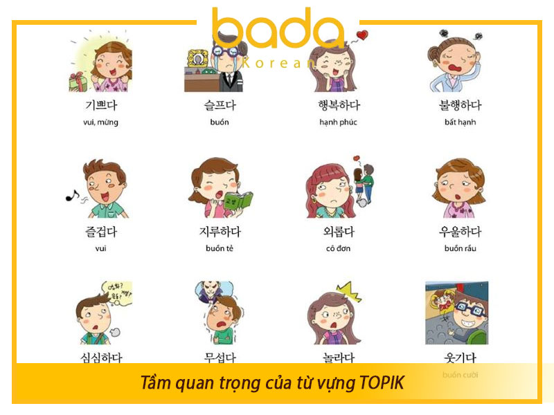 Tầm quan trọng của từ vựng TOPIK