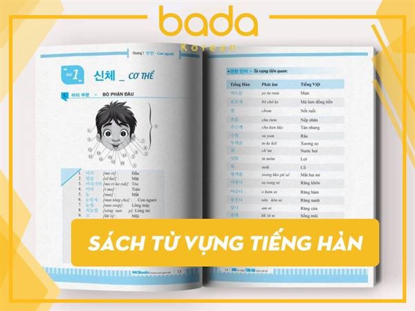 Bật Mí Các Cuốn Sách Từ Vựng Tiếng Hàn Gây Sốt Hiện Nay