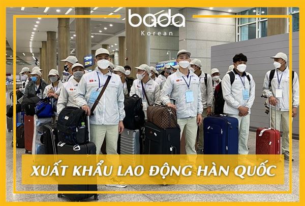 Xuất khẩu lao động Hàn Quốc 2023: Điều kiện, chi phí, lộ trình mới nhất